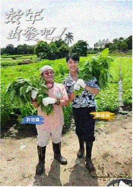 成全视频在线观看免费高清在线观看 大明王朝1566